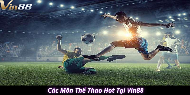 thể thao vin88