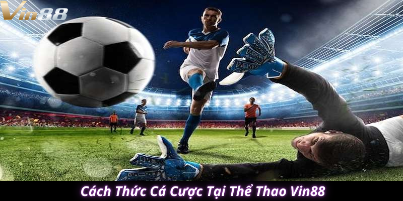 thể thao vin88